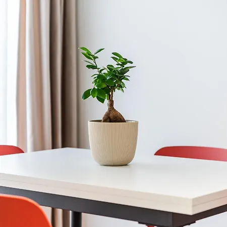 8th Floor Apartments, Golem (Tirana)